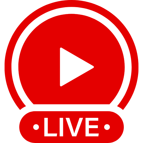 Vipcourt | Live Webcam Shows & Interactive Adult Entertainment